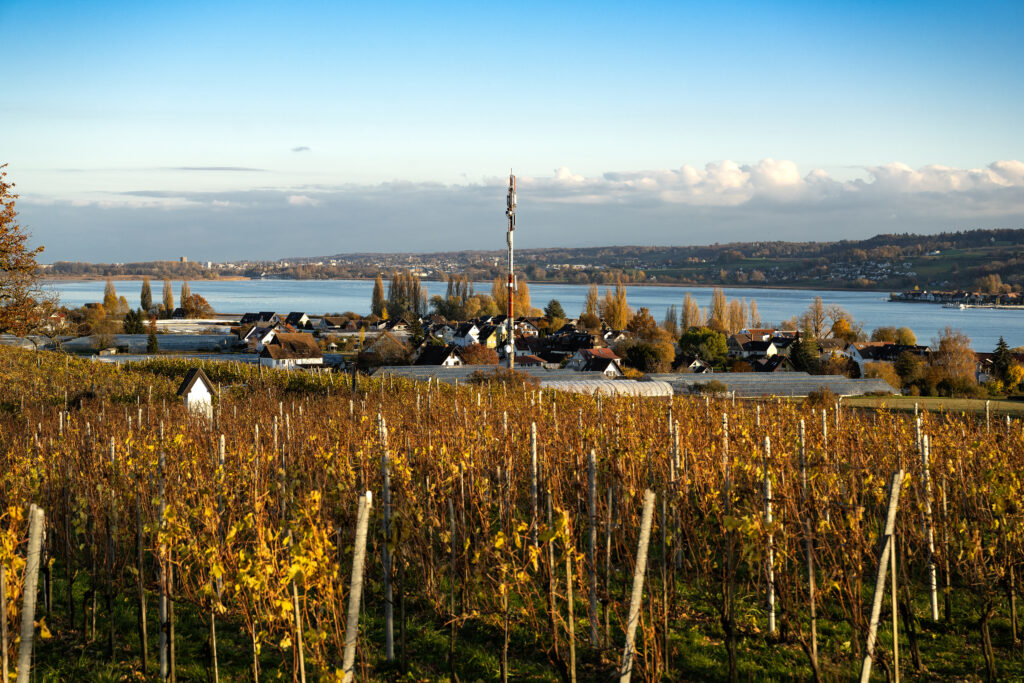 Mobilfunkmast am See mit Wohnviertel