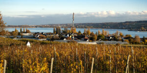 Mobilfunkmast am See mit Wohnviertel