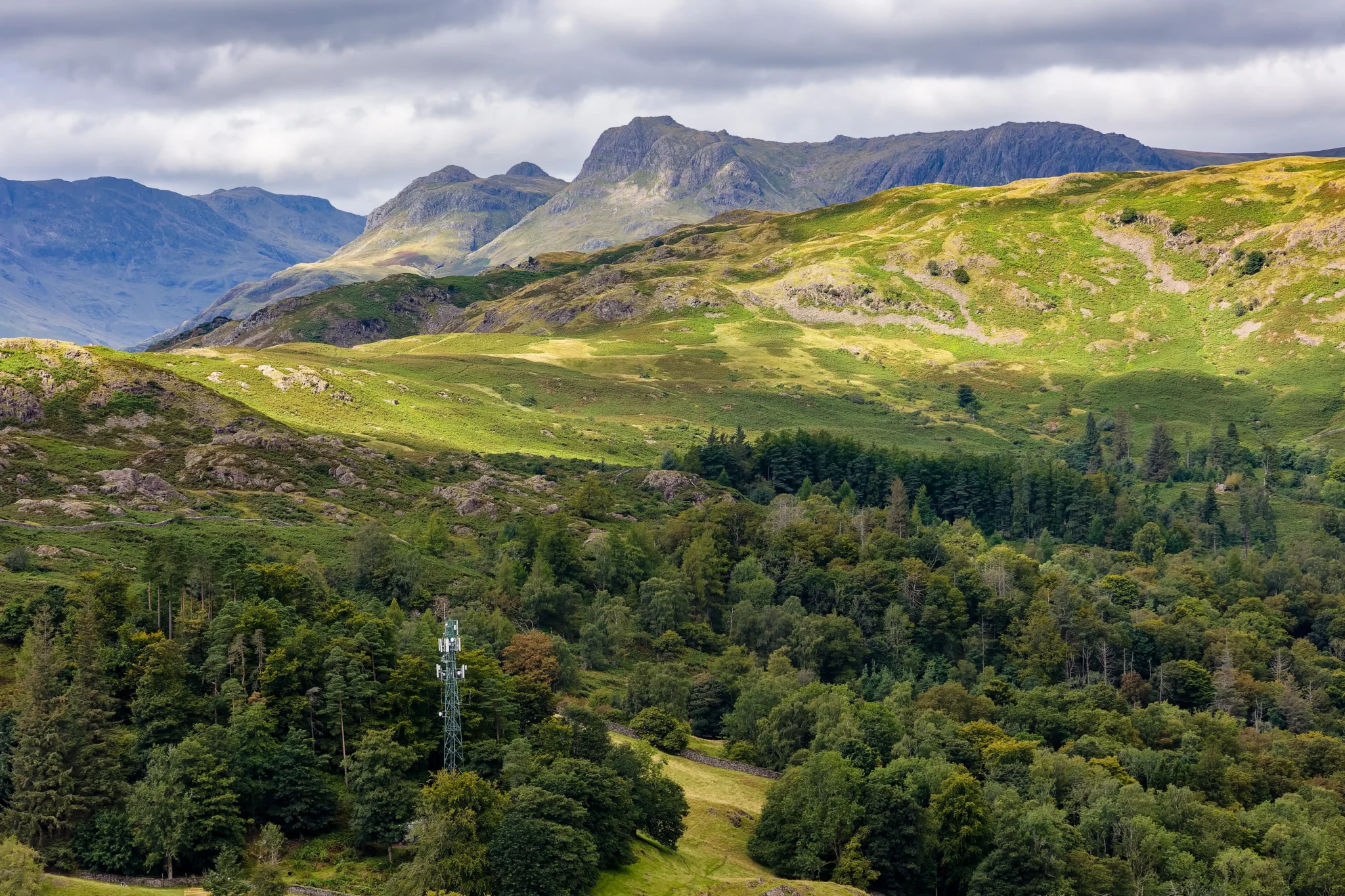 Mobilfunkmast zwischen Bäumen in einer grünen Berglandschaft mit Hügeln und Wald unter bewölktem Himmel – Beispiel für Mobilfunknetzausbau in Natur- und Landschaftsschutzgebieten.