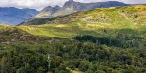 Mobilfunkmast zwischen Bäumen in einer grünen Berglandschaft mit Hügeln und Wald unter bewölktem Himmel – Beispiel für Mobilfunknetzausbau in Natur- und Landschaftsschutzgebieten.